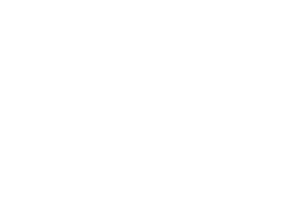 Roofing services icon